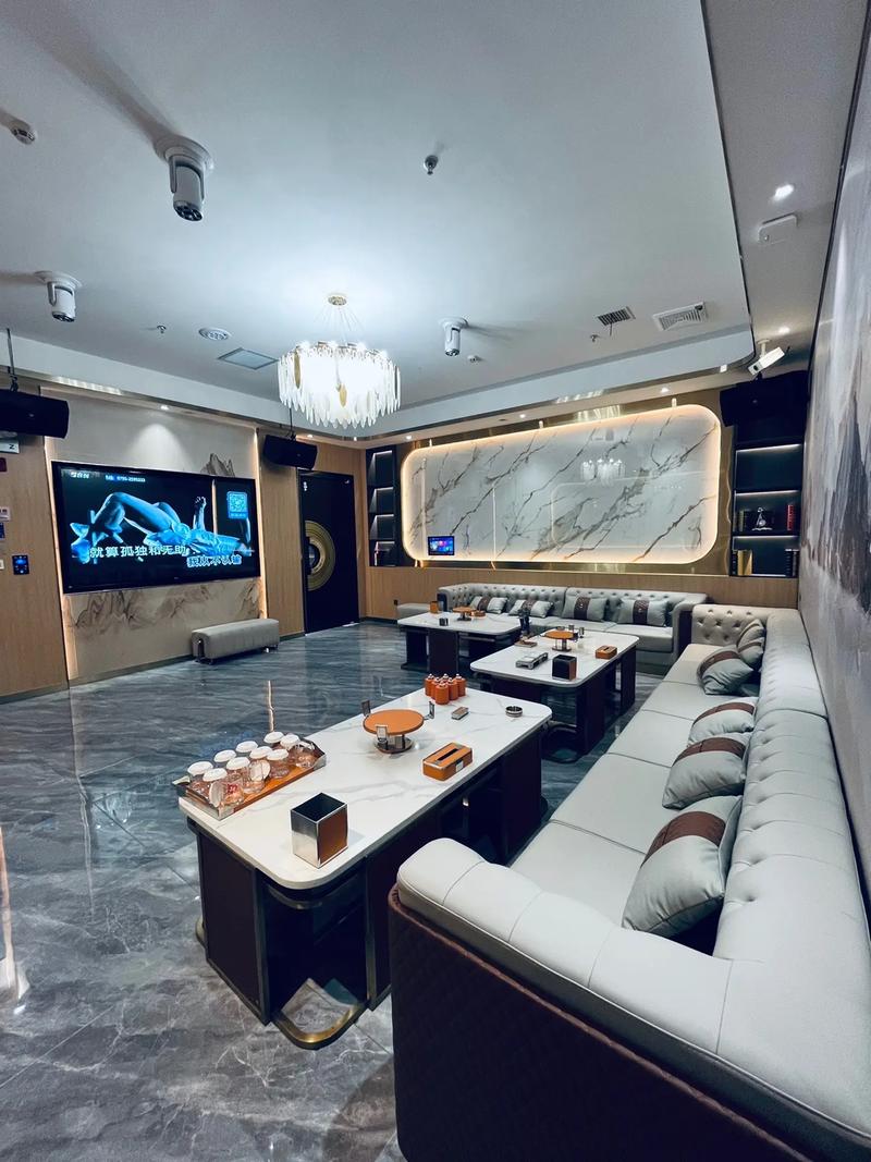 亳州商务ktv，尽享商务娱乐的乐趣-利辛县ktv预订